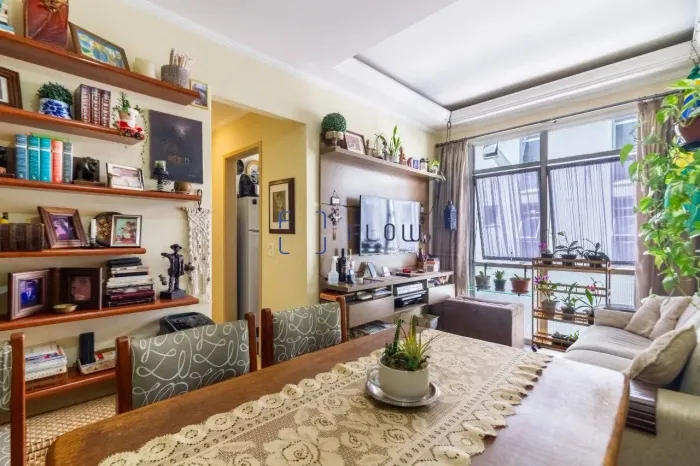 Apartamento Para Venda Vila Santa Catarina, 2 Quartos, 1 Vaga, 44m² - (condomínio Silvio S