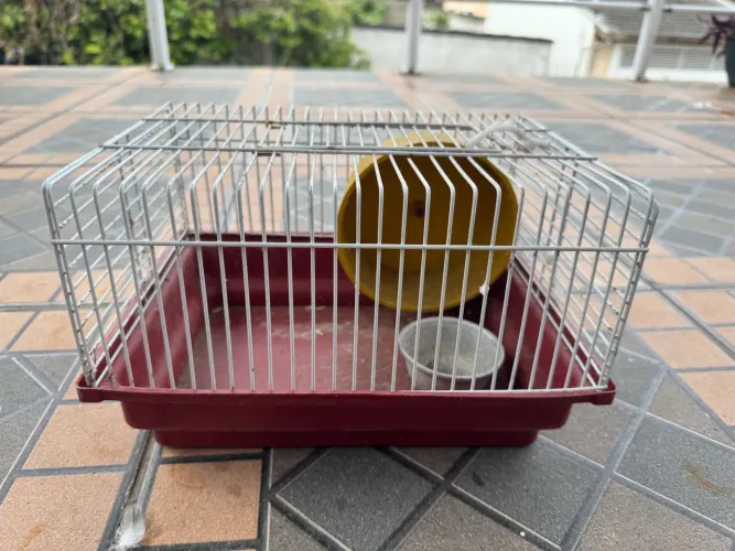 Gaiola para roedores