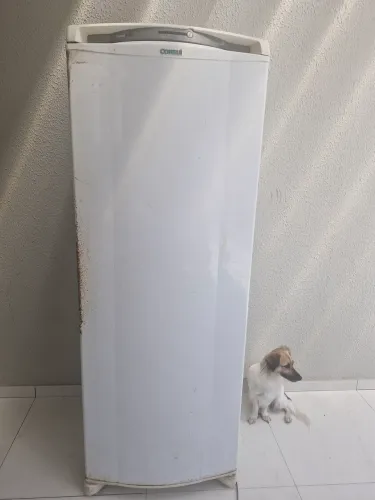 Geladeira consul frost free