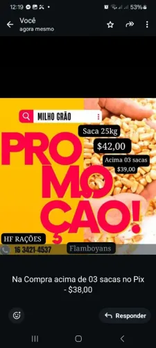 MILHO GRÃO - SACA 25KG - OFERTA