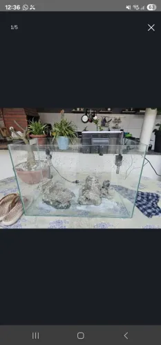 Aquário decorativo com rochas