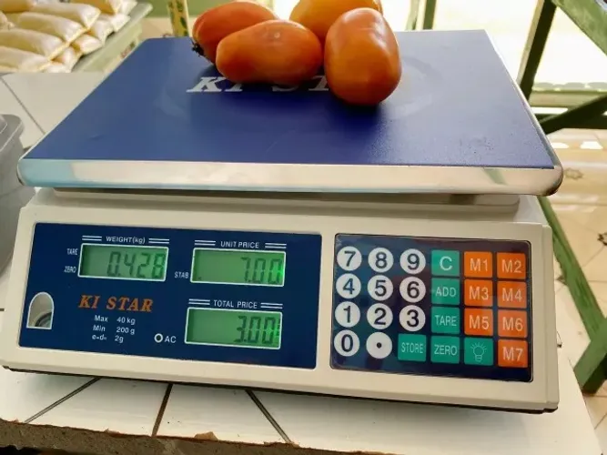 Balança digital portátil 40kg ideal para uso em hortifrúti e pequenos mercados