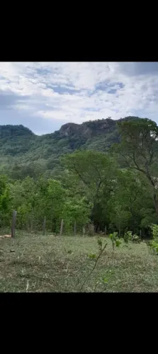 Vendo 97 hectares em Corguinho MS.