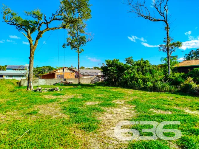 Terreno | São Francisco do Sul | Ervino