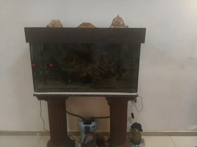 Aquário de 200 litros completo $1500 reais