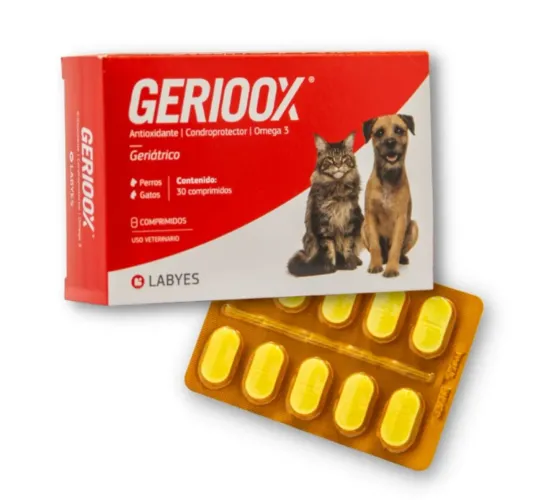 Gerioox suplemento para cães e gatos