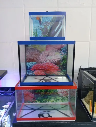 Aquário diversos tamanho 