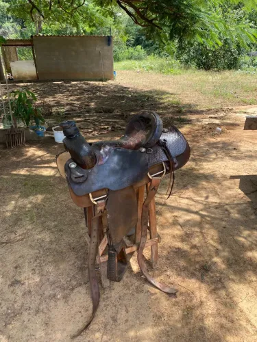 Sela americana de laço
