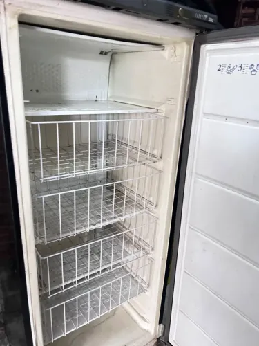 Freezer vertical