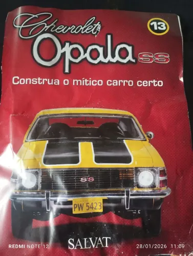 Peças par colecionador de opala completo