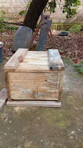 Três Caixas com colméias abelhas apis.