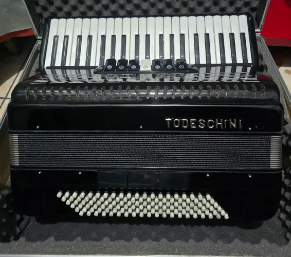 Acordeon sanfona gaita