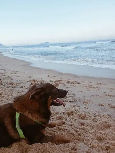 DOAÇÃO CASAL BOLDER COLLIER