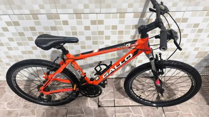 Biciclata