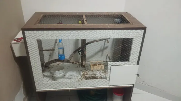 Gaiola para aves de pequeno e médio porte