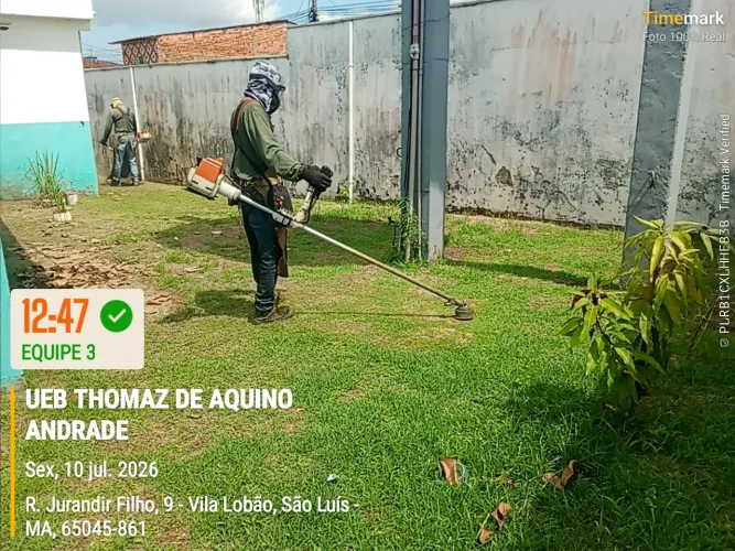 Capina e poda