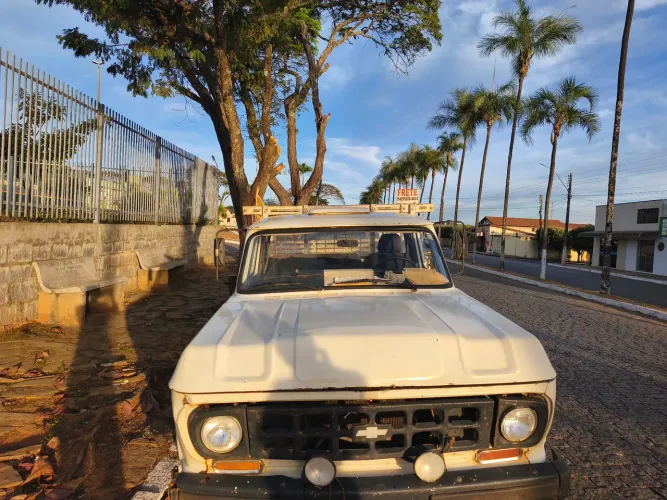 Chevrolet D-10 Diesel 1981
