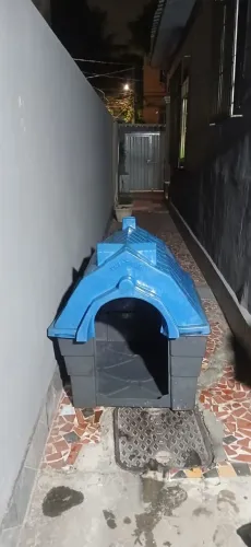 Casinha de cachorro grande