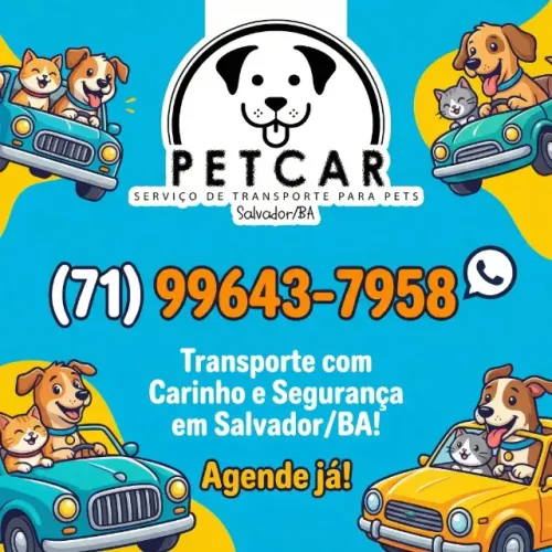 TRANSPORTE DE PET EM SALVADOR SO NA - PETCAR