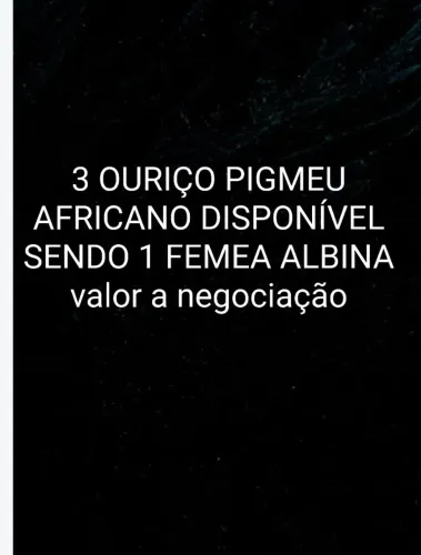 Coelho