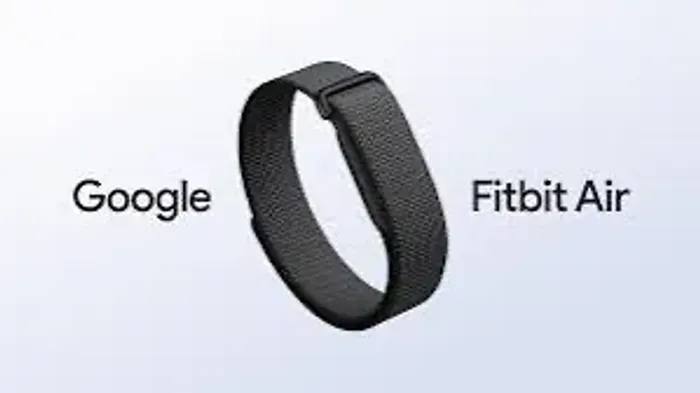 Google FitBit Air