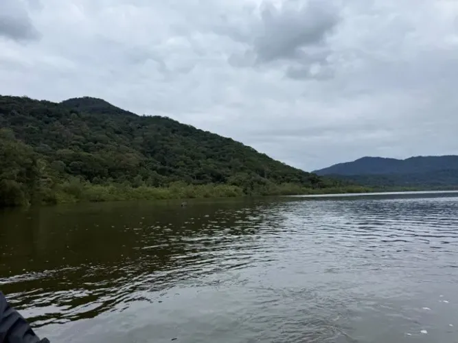 Serra do Mar em Guaraqueçaba - 228.000 hectares APA