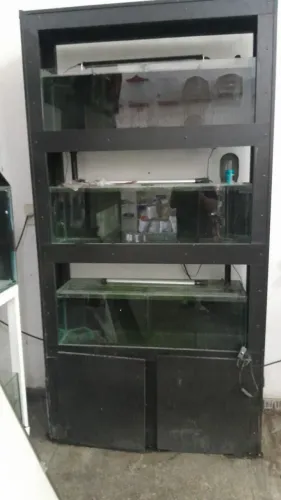 Bateria de aquarios completa funcionando