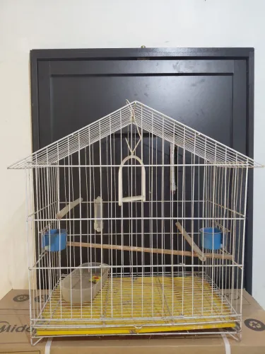 Gaiola para calopsita