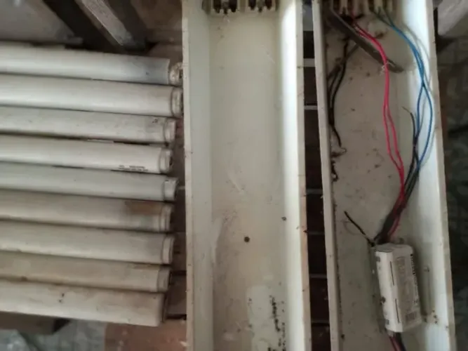 Lampada fluorescente e bandeja com soquete