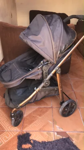 Carrinho de bebê (Moisés)