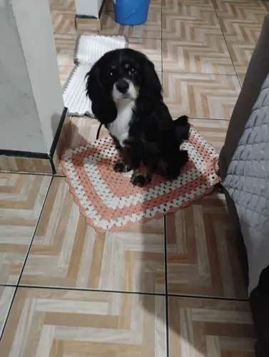 Linda fêmea disponível
