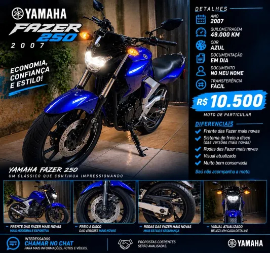 Yamaha YS 250 Fazer/ Fazer L. Edition /blueflex 2007