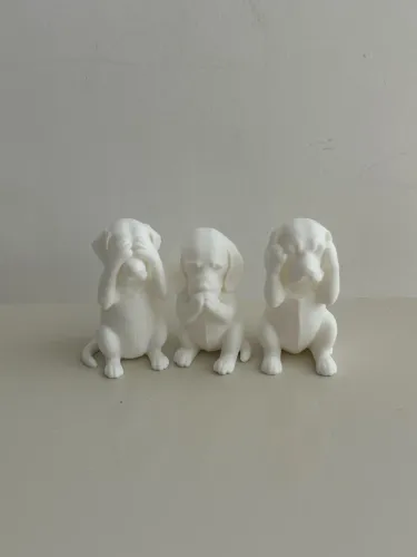 Cachorros, cães nada ouço, nada falo, nada escuto. Dog 3D