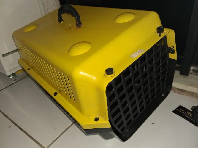 Casinha de cachorro