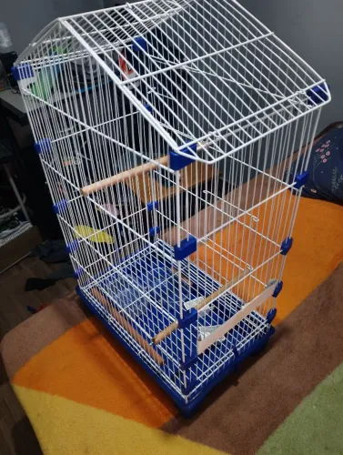 Gaiola calopsita ou periquito