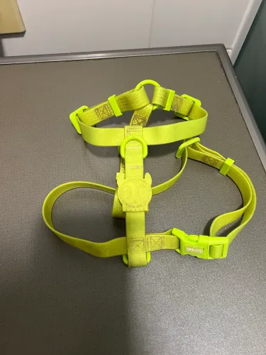 Coleira Neoprene Zeedog