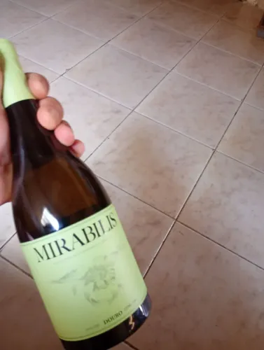 Vinho branco 