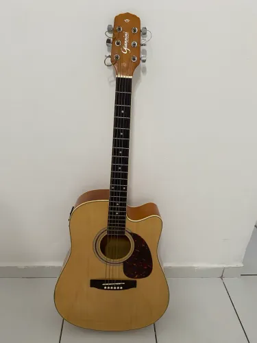 Violão Gianinni Performance GF-1 CEQ N