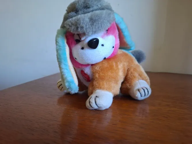 Cachorro de chapéu
