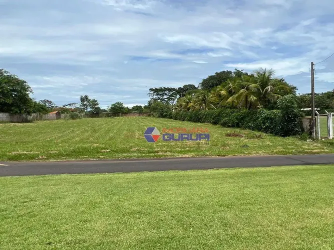 Terreno à venda, 5000 m² por R$ 1.300.000,00 - Residencial Jardim das Acácias - Mirassol/S