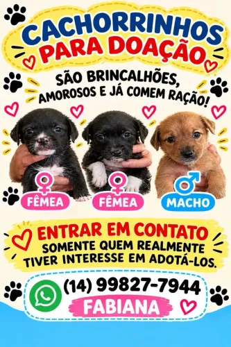 DOAÇÃO CACHORRINHOS