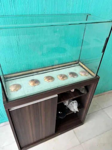 Aquário 120l