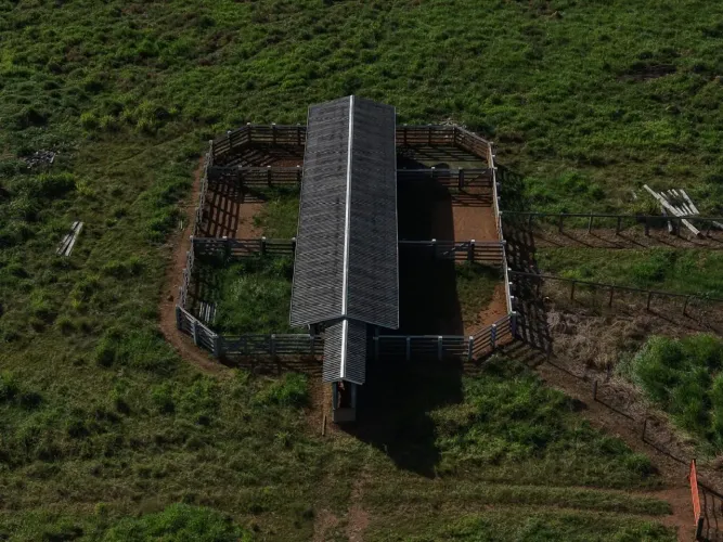 Fazenda 30 Alqueires a Apenas 6 km de Jaru-RO | Casa, Poço Artesiano e Energia