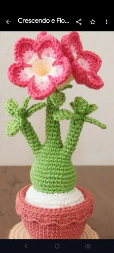 Vaso Rosa do deserto em crochê