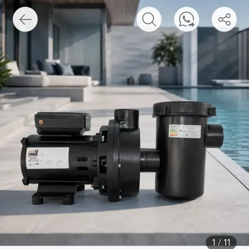 Bomba para Pisina 1/4 HP 110 vts