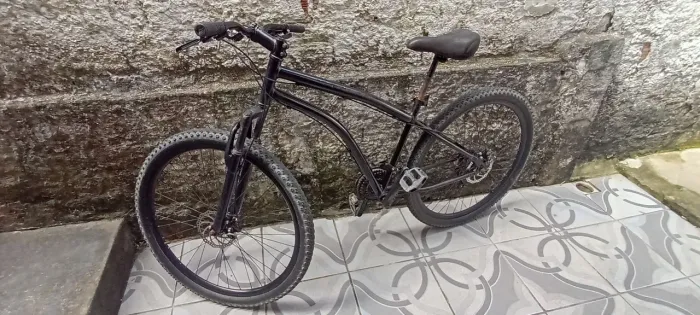Caloy Aro 29 $700,00
