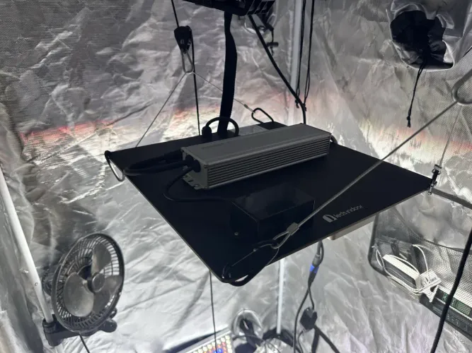 Led 240w Lm301h da ledsindoor