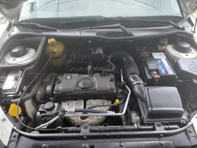 Peugeot 206 Sensation 1.4 Flex 8V 5P 2007