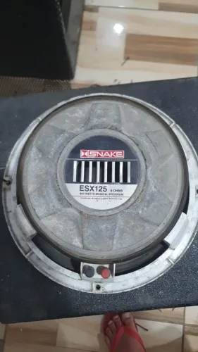 Woofer Snake Falantes de 12 ESX 125 