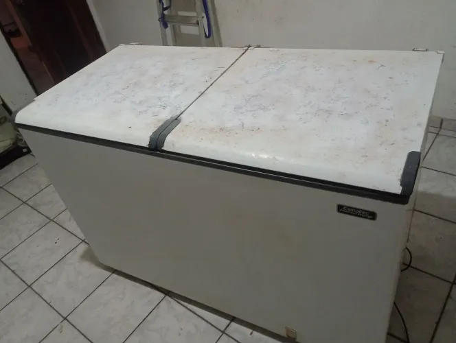 Freezer horizontal 2 portas 